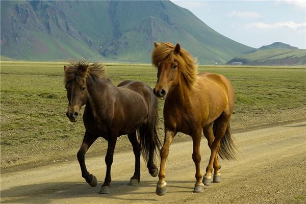 姓名得分測試_周樂兒