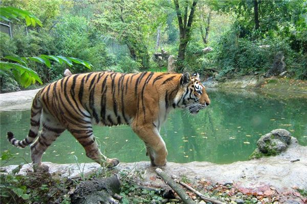 男孩取名_尹雪姬