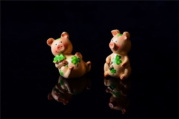 五行分析_周山蘭