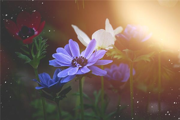 姓名得分測試_周賓實(shí)