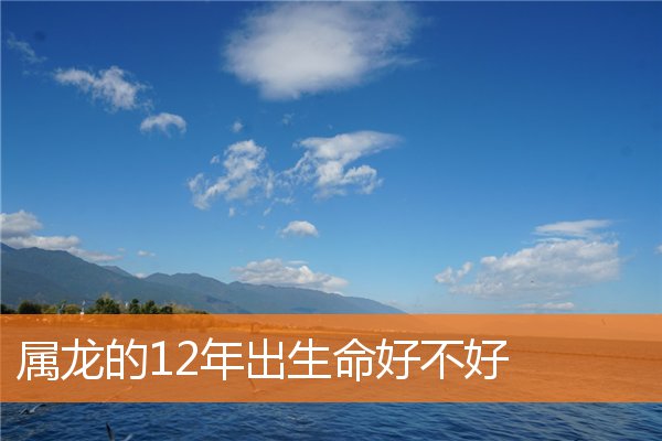 姓名得分_周柳思