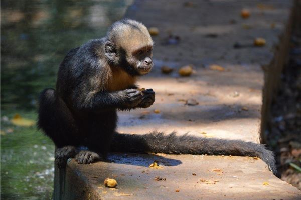名字配對算命婚姻