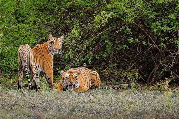 寶寶怎么取名_五行屬金的字女孩用
