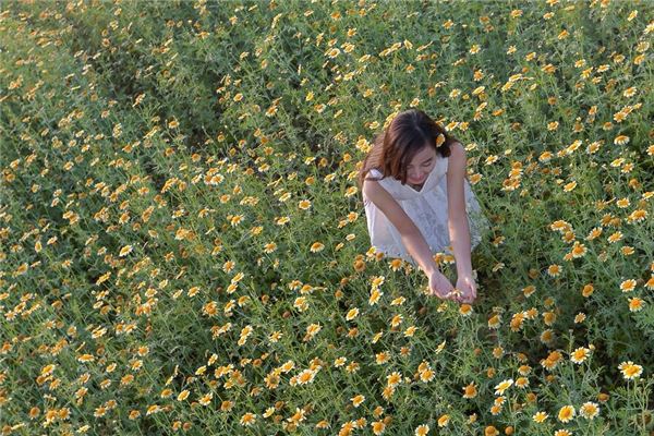 新生兒取名：周秀英