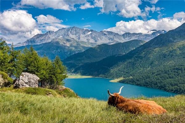 取名禁忌_姓宋的名人